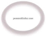 Dichtung für Gewindestutzen PTFE Weiß DIN11851,DN 32 / 46 x 36 x 5,0