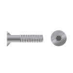 Edelst. Senkschr. Innen-6-kt ISO10642 / A2,M6 x 20 mm (VE=200)