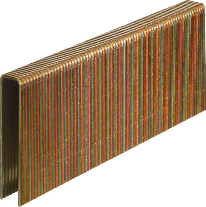 61460100025 #1