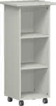 Flex Caddy,500x450x1104mm Lichtgrau