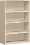 Aktenregal TEN,Ahorn,1536x1000x425,4OH