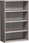 Aktenregal,Pro,Onyx,1536x1000x425,4OH