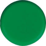 Organisationsmagnet rund,grün 20mm Eclipse