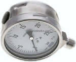 Chemie-Manometer senkrecht,,100mm, 0 - 25 bar