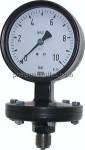 Plattenfeder-Manometer senk- recht, 100mm, 0 - 16 bar