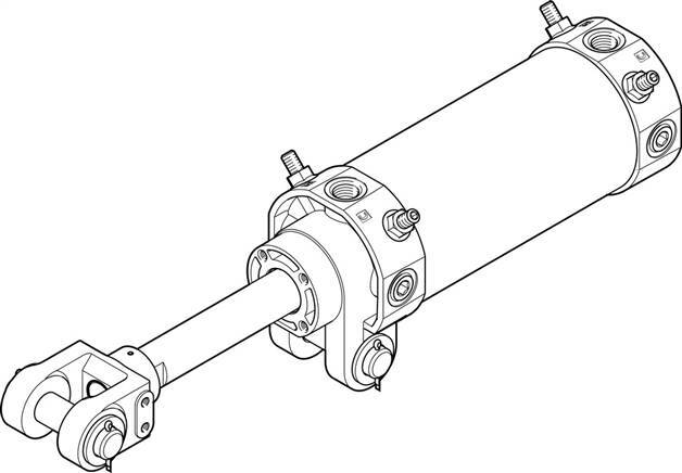 K1800897 #1