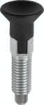 03089-03004060,Arretierbolzen