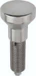 03093-001004,Arretierbolzen