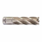 Milwaukee Accessories,19 x 50 mm,HSS Kernlochbohrer, lang