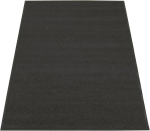 Schmutzfangmatte,EAZYCARE Color schwarz,B60xT90 cm