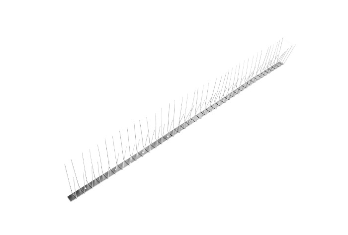 Var0360325 #1