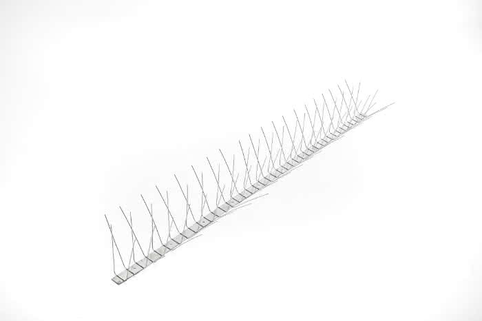 Var0360325 #2