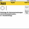 Var31476030509 #2