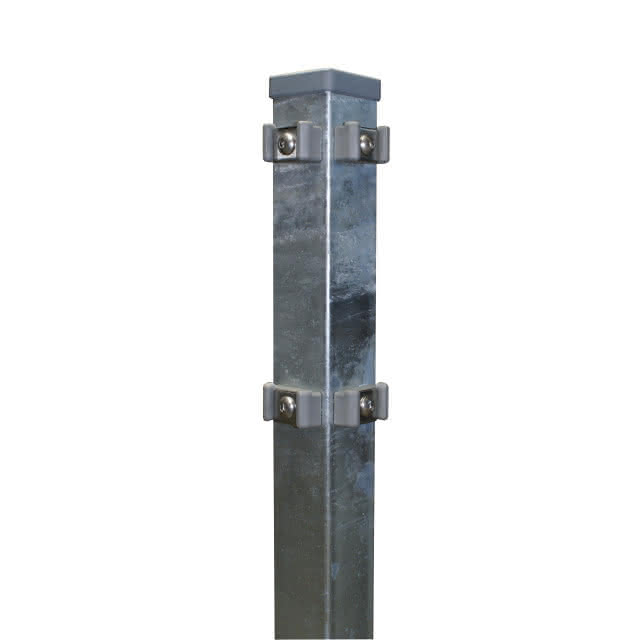 Var3206501100 #1
