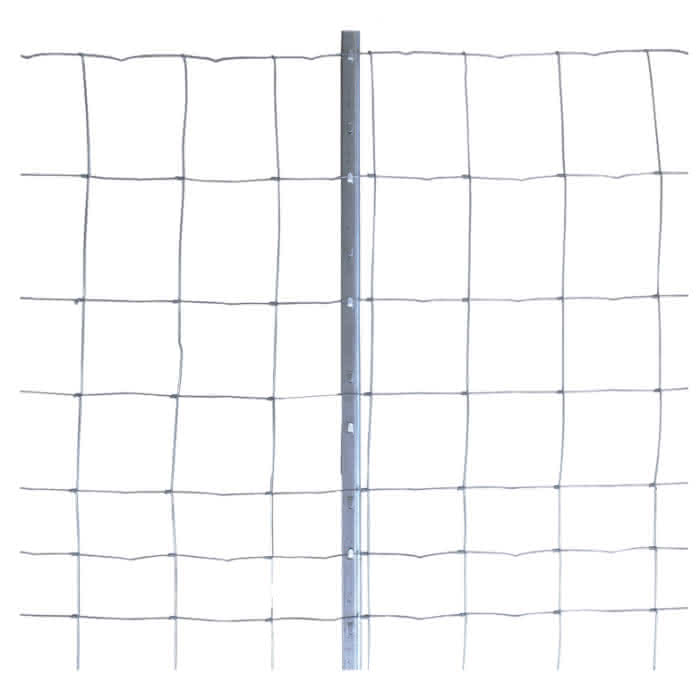 Var32102111 #1