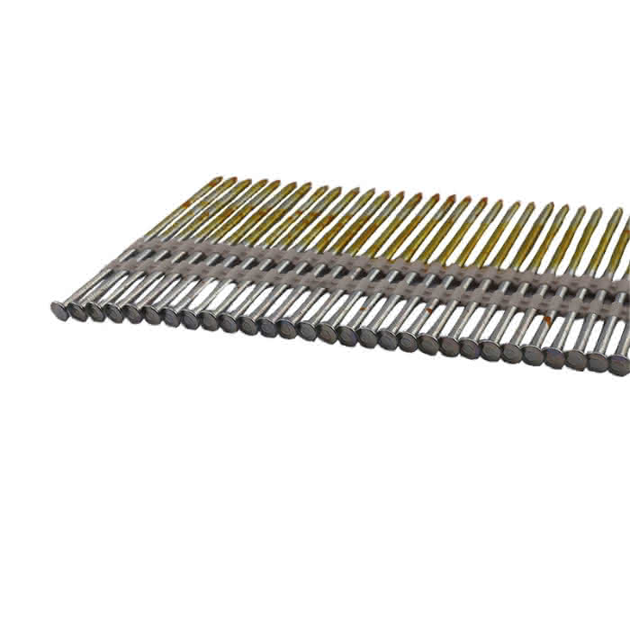 Var614162865 #1