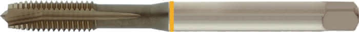 Var713137103 #1