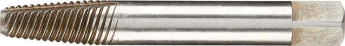 Var760335025 #1